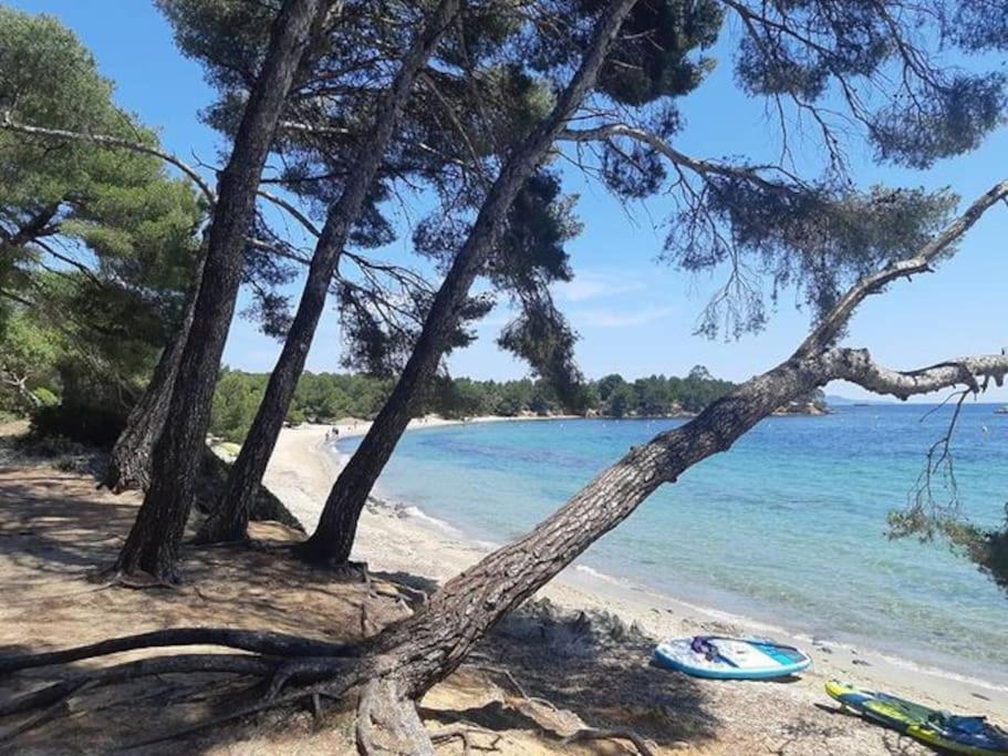 Studio Cabine Climatise 800 M De La Plage Et Des Commerces Bormes-les-Mimosas Kültér fotó